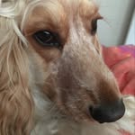Ron North - @ronnorth66 - Instagram
