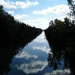 Ron North - @ronaldlnorth - Instagram