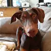 Roni Odom - @roniodom - TikTok