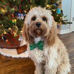 Ron Osborn - @nannamojo - Instagram