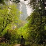 Ron' - @ron_pan_ - Instagram