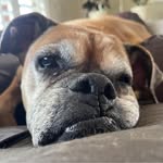 Ron Parrish - @theotherronp - Instagram