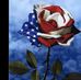 Ron Pederson - Facebook