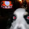 ronaldphilpotsr - @ronaldphilpotsr - TikTok