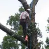Ron Raby Tree Service - @aliceraby6 - TikTok