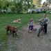 Ron Reed - Facebook