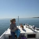 Ron Regnier - @regnier.ron - Instagram