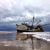 ron regnier - @ron.regnier - TikTok