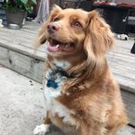 Aaron R - @ron.ressler - Instagram