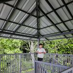 Rex Ron - @rex_ron_ - Instagram