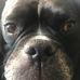 Ron Rigler - Facebook