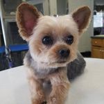Ron Chili Robillard - @ron_robillard - Instagram
