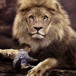 Ron Rooks - @ron.rooks - Instagram