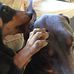 Ron Rosen - Facebook
