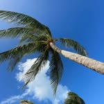 Ronald Ross - @ronross2211 - Instagram