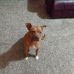 Ron Russ - Facebook