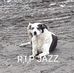 Ronald Salter - Facebook