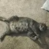 ronsawyer6 - @ronsawyer6 - TikTok