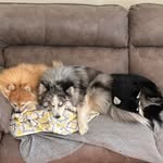 Ron Saxton - @rsaxton17 - Instagram