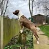 Ronnie Sayers - @ronnie.sayers8 - TikTok