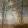 ronaldoschade1302 - @ronaldoschade1302 - TikTok