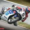 Ron Schultz - @ronschultz5 - TikTok
