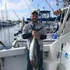 ronschultz71 - @ronschultz71 - TikTok