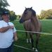 Ron Schwab - Facebook