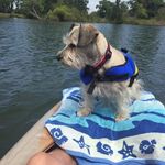 Ron Scott - @ron.scott.3954 - Instagram