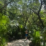 Ron - @ronsevert - Instagram