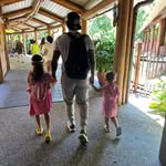 ron shannon - @rshannon29 - Instagram