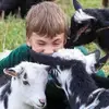 Shannon Baune Ronningen - @shannon.baune.ron - TikTok