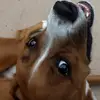 Rsharp - @ronsharpless - TikTok