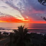 Ron Sheehan - @rsheehan50 - Instagram