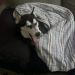 Camron Sheets - @camronsheets18 - Instagram