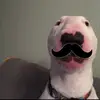 Ronsheldon - @ronsheldon6 - TikTok