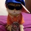 Shu Js Main:> - @ron_shu_ewan - TikTok