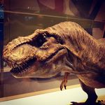 Ronald Singletary - @ronsingletary - Instagram