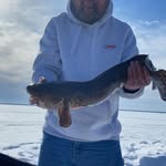 Ron Solberg - @ron.solberg.391 - Instagram