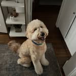 Ron Sparks - @sparkyla - Instagram