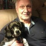 ron sparks - @sparks.ron - Instagram