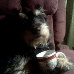 Ron Sparks - @sparksron - Instagram