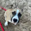 RONI.Stafford - @roni.stafford - TikTok