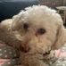 Ron Stamper - Facebook