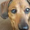ronstaples622 - @ronstaples622 - TikTok