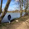 ronstein247 - @ronstein247 - TikTok