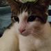Ron Sterling - Facebook