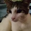 ronsterling763 - @ronsterling763 - TikTok