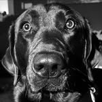 Ron Stevenson - @pcam55 - Instagram
