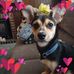Ron Stiles - Facebook